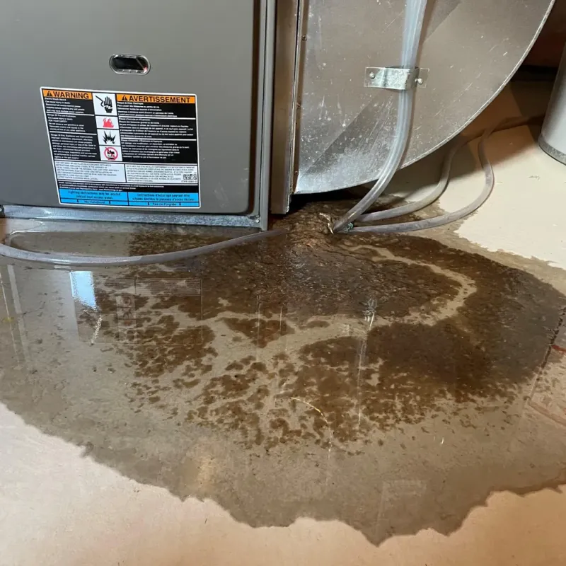 Appliance Leak Cleanup in Kingston Springs, TN