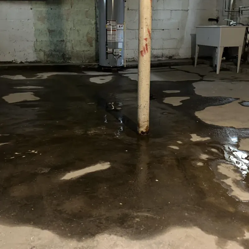 Emergency Water Extraction And Removal in Kingston Springs, TN
